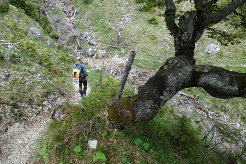 Schellalm - Schellkopf - Stiereck