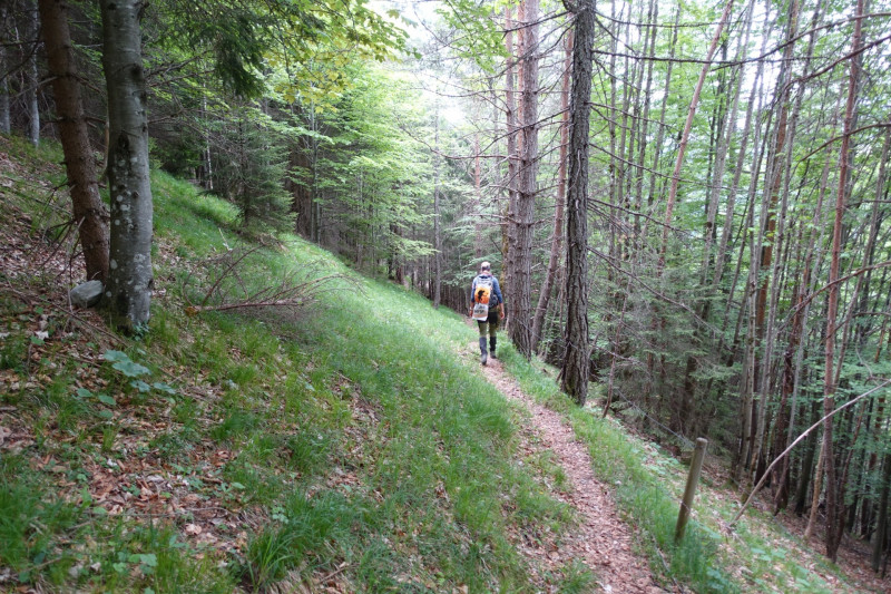 Schellalm - Schellkopf - Stiereck