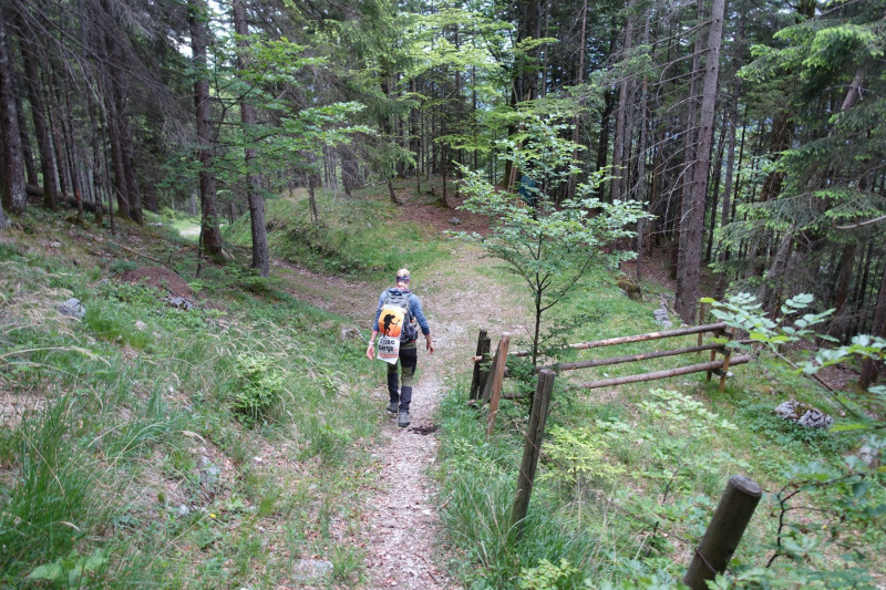 Schellalm - Schellkopf - Stiereck