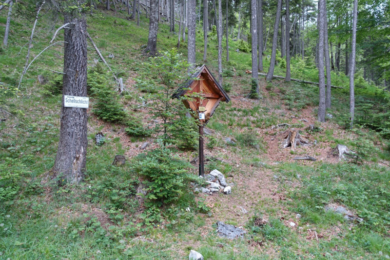Schellalm - Schellkopf - Stiereck