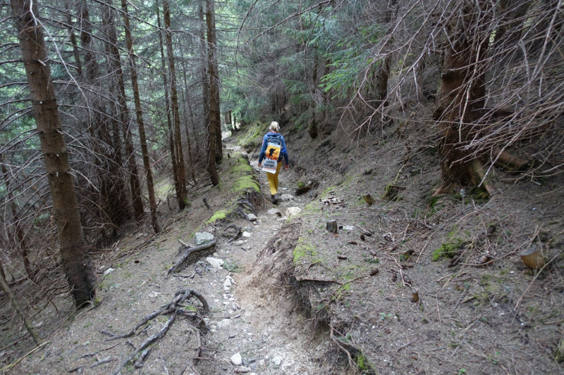 Schloß Linderhof - Dreisäuler Kopf - Hennenkopf - Laubeneck - Teufelstättkopf - August-Schuster-Haus - Schloß Linderhof