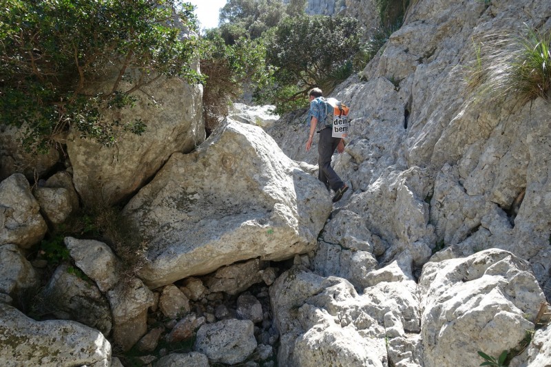 Schlucht Torrent de Mortitx