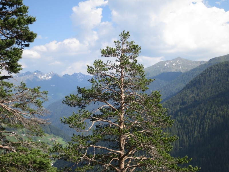 Schnann - Fritzh�tte