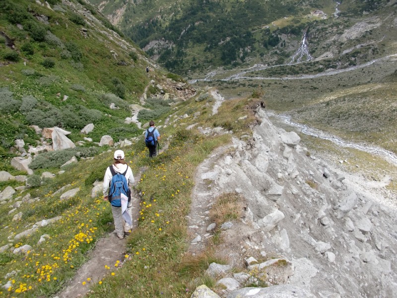 Furtschaglhaus - Sch�nbichler Horn - Alpenrose