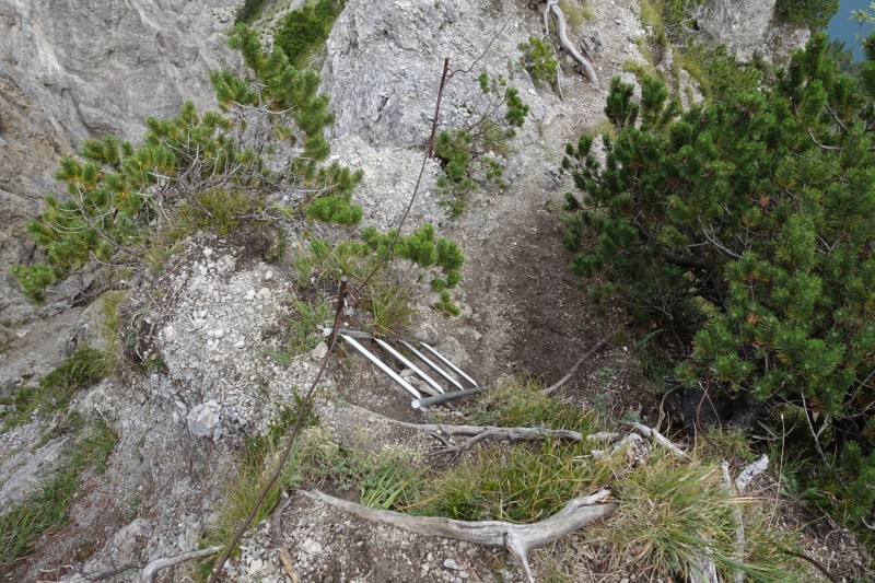 Plansee: Schrofennas - Tauern - Zunterkopf