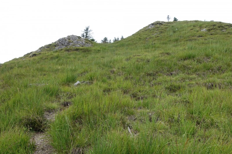 Plansee: Schrofennas - Tauern - Zunterkopf