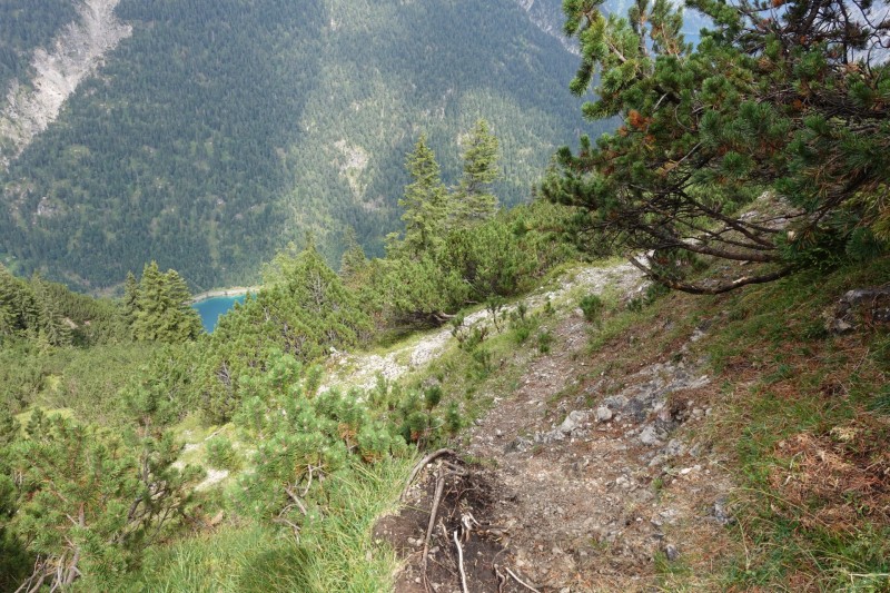Plansee: Schrofennas - Tauern - Zunterkopf
