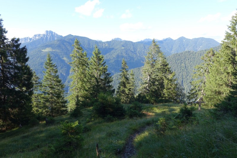 Plansee: Schrofennas - Tauern - Zunterkopf