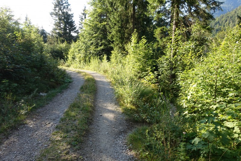 Plansee: Schrofennas - Tauern - Zunterkopf
