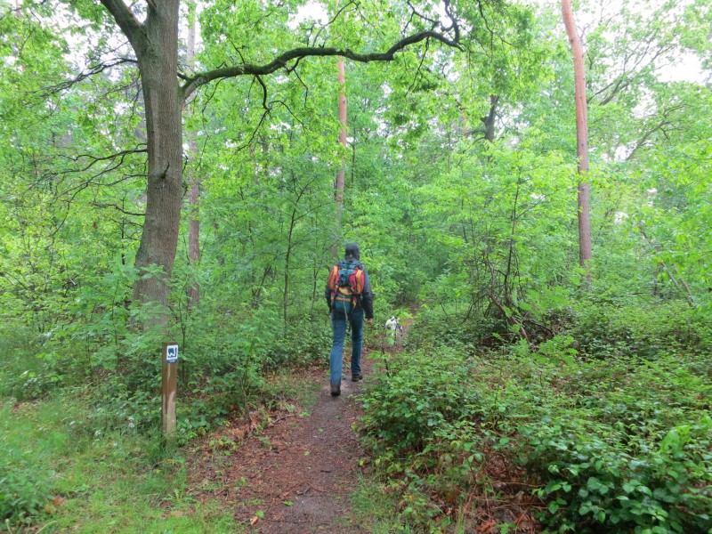 Schwalmbruch Premiumweg