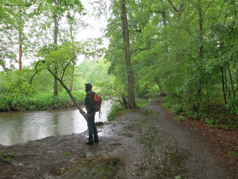 Schwalmbruch Premiumweg