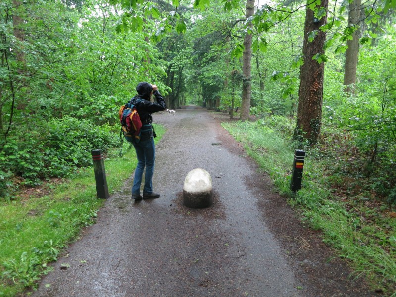 Schwalmbruch Premiumweg