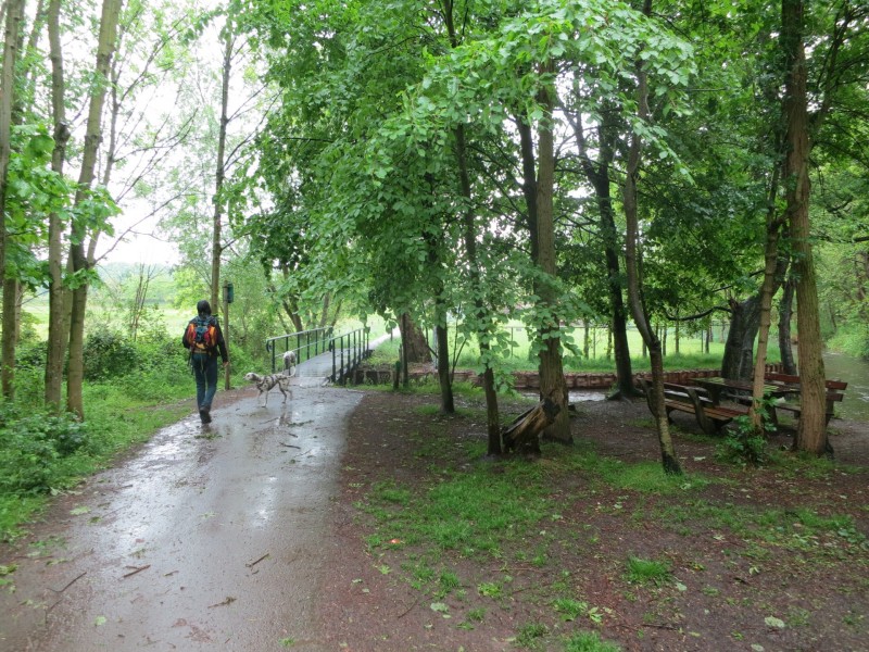 Schwalmbruch Premiumweg