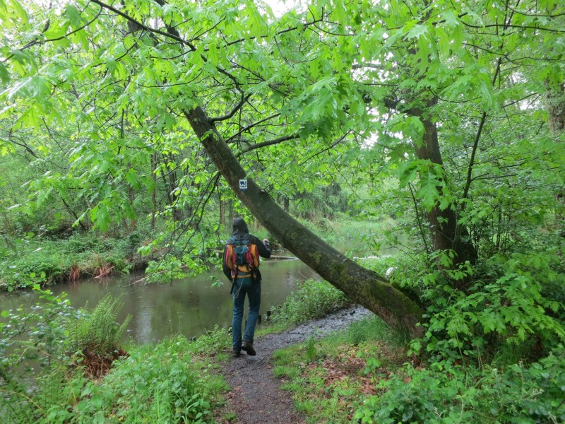 Schwalmbruch Premiumweg
