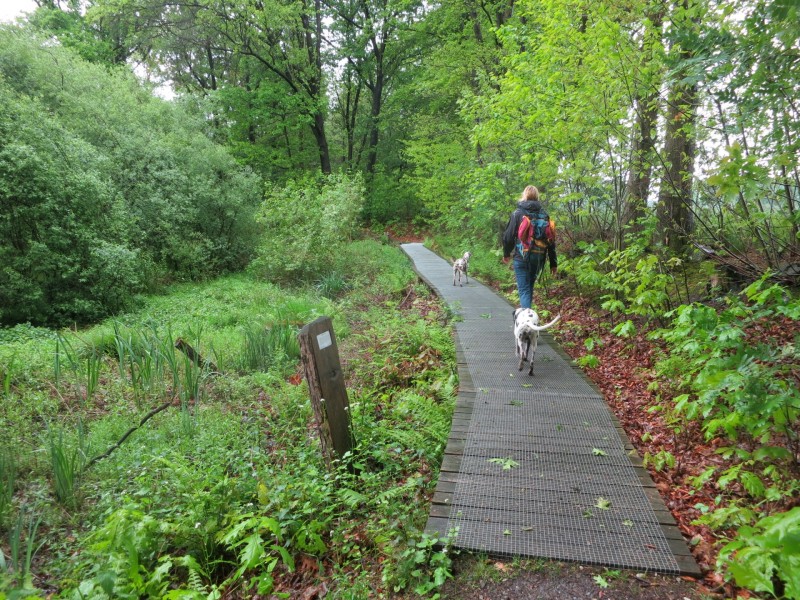 Schwalmbruch Premiumweg