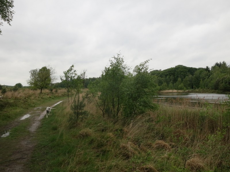 Schwalmbruch Premiumweg