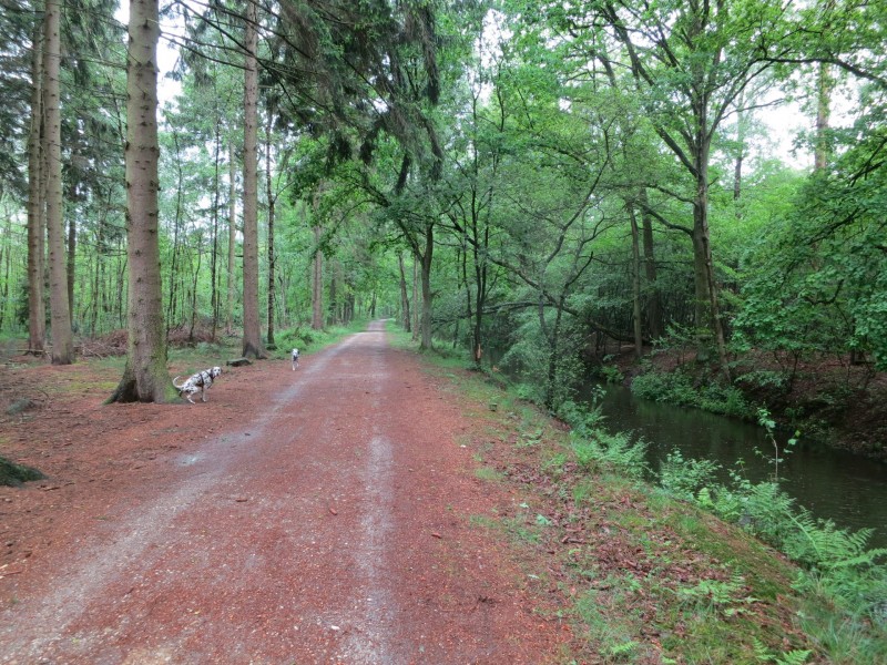 Schwalmbruch Premiumweg