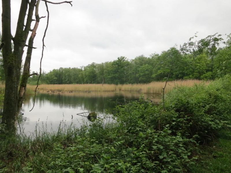 Schwalmbruch Premiumweg