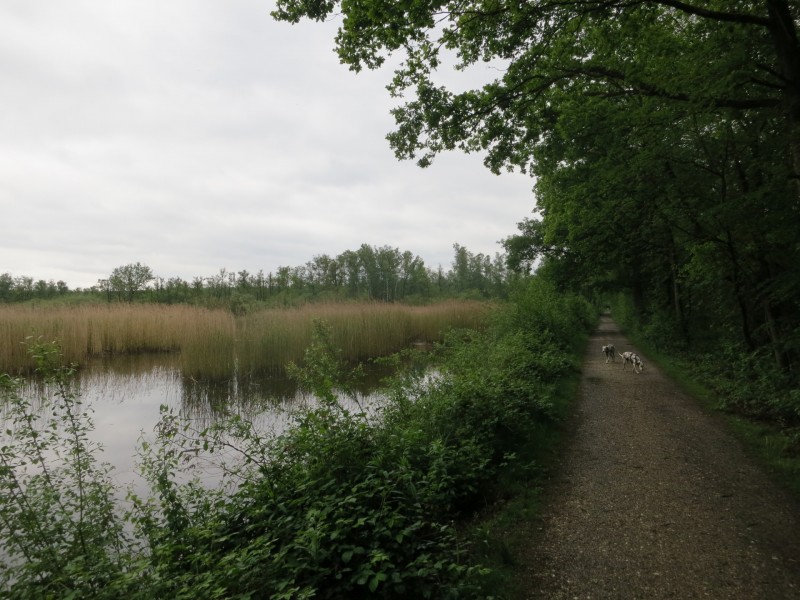 Schwalmbruch Premiumweg