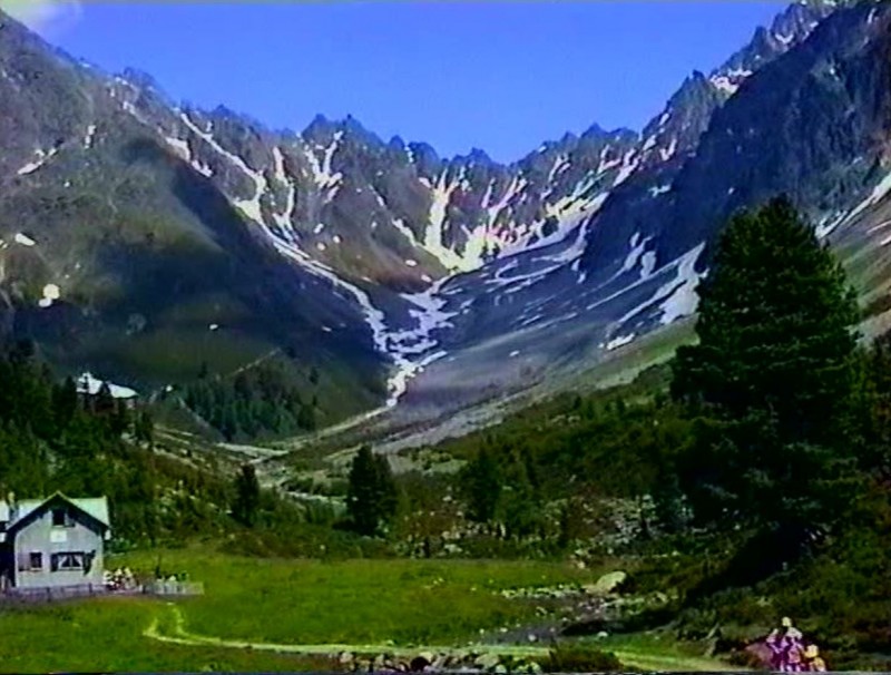 Schweikertwald