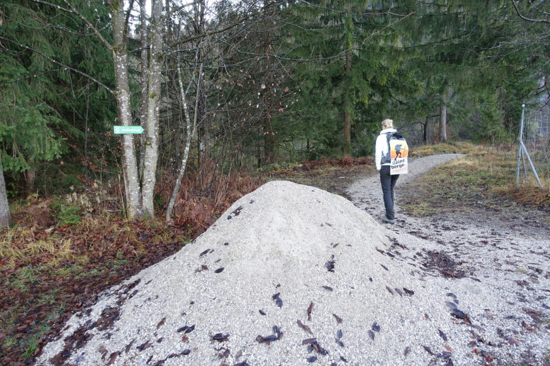 Sportplatz Eschenlohe - Zundereck - Zunderkopf Ester Gebirge