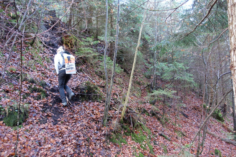 Sportplatz Eschenlohe - Zundereck - Zunderkopf Ester Gebirge