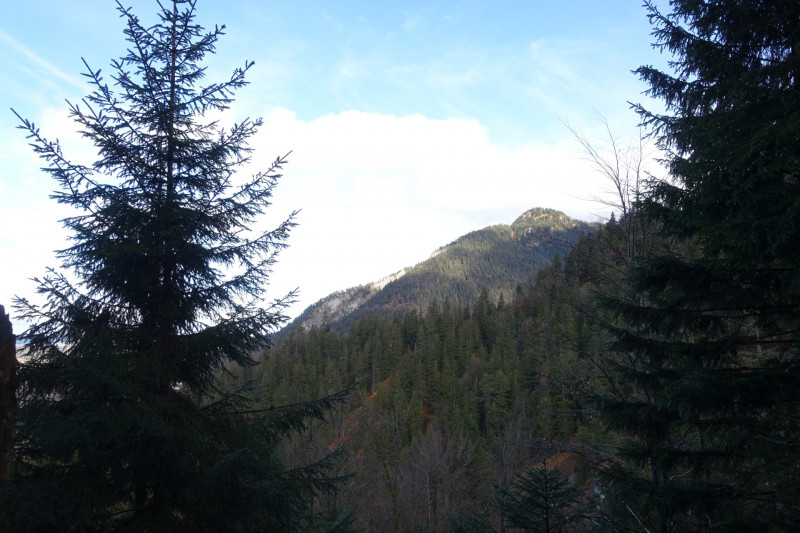 Sportplatz Eschenlohe - Zundereck - Zunderkopf Ester Gebirge