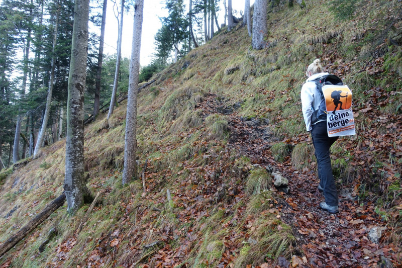 Sportplatz Eschenlohe - Zundereck - Zunderkopf Ester Gebirge