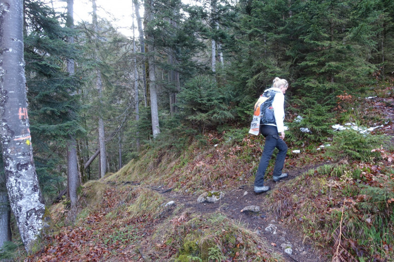 Sportplatz Eschenlohe - Zundereck - Zunderkopf Ester Gebirge