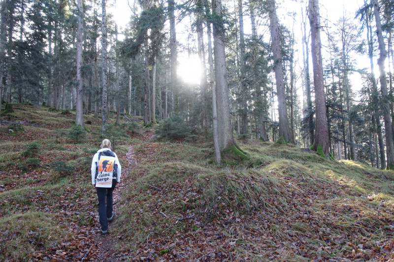 Sportplatz Eschenlohe - Zundereck - Zunderkopf Ester Gebirge