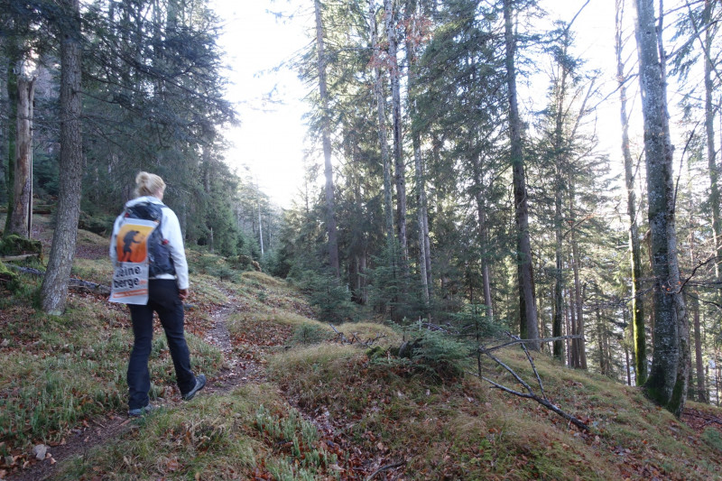 Sportplatz Eschenlohe - Zundereck - Zunderkopf Ester Gebirge