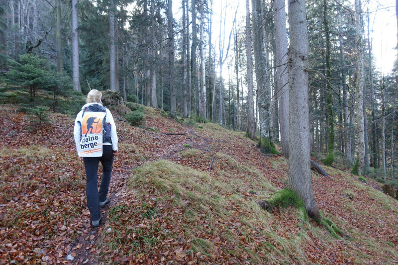 Sportplatz Eschenlohe - Zundereck - Zunderkopf Ester Gebirge