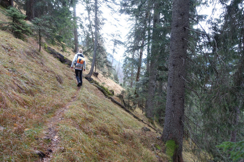 Sportplatz Eschenlohe - Zundereck - Zunderkopf Ester Gebirge