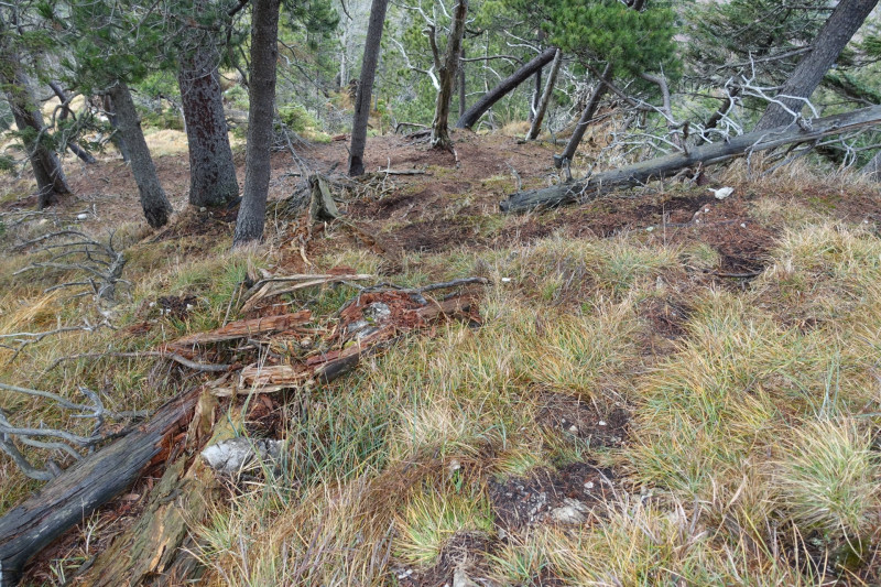 Sportplatz Eschenlohe - Zundereck - Zunderkopf Ester Gebirge