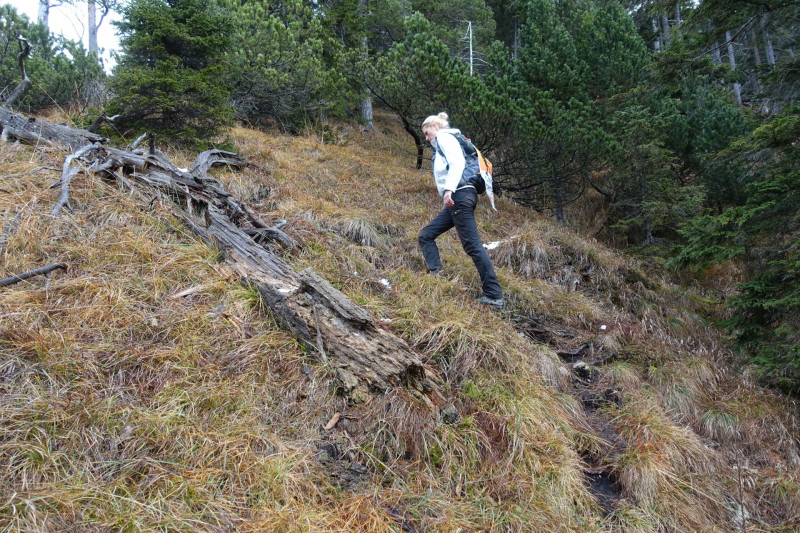 Sportplatz Eschenlohe - Zundereck - Zunderkopf Ester Gebirge
