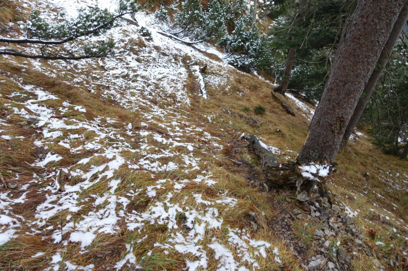 Sportplatz Eschenlohe - Zundereck - Zunderkopf Ester Gebirge