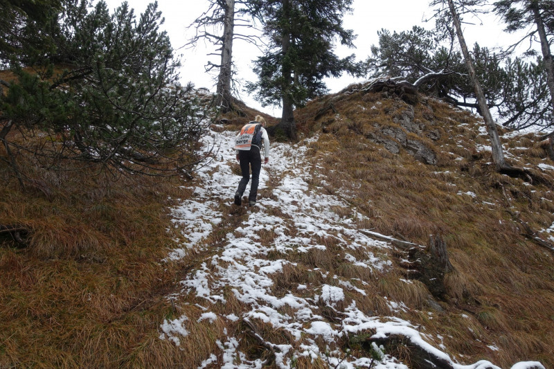 Sportplatz Eschenlohe - Zundereck - Zunderkopf Ester Gebirge