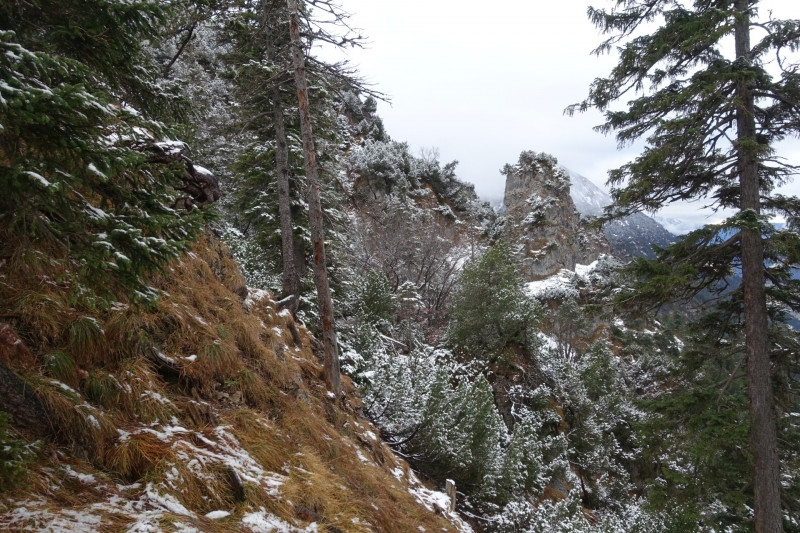 Sportplatz Eschenlohe - Zundereck - Zunderkopf Ester Gebirge