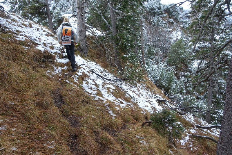 Sportplatz Eschenlohe - Zundereck - Zunderkopf Ester Gebirge