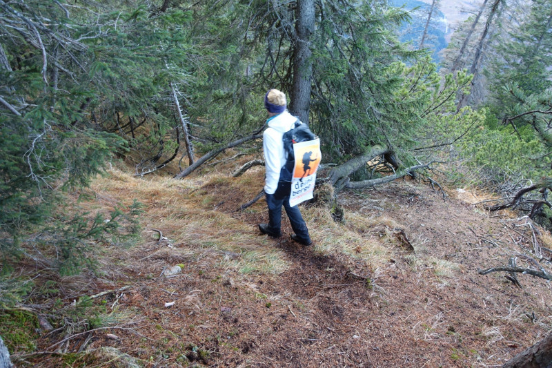 Sportplatz Eschenlohe - Zundereck - Zunderkopf Ester Gebirge