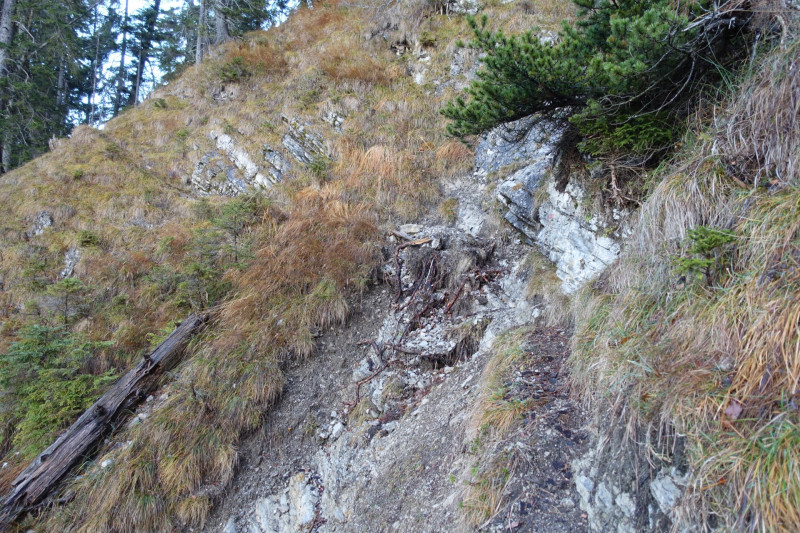 Sportplatz Eschenlohe - Zundereck - Zunderkopf Ester Gebirge
