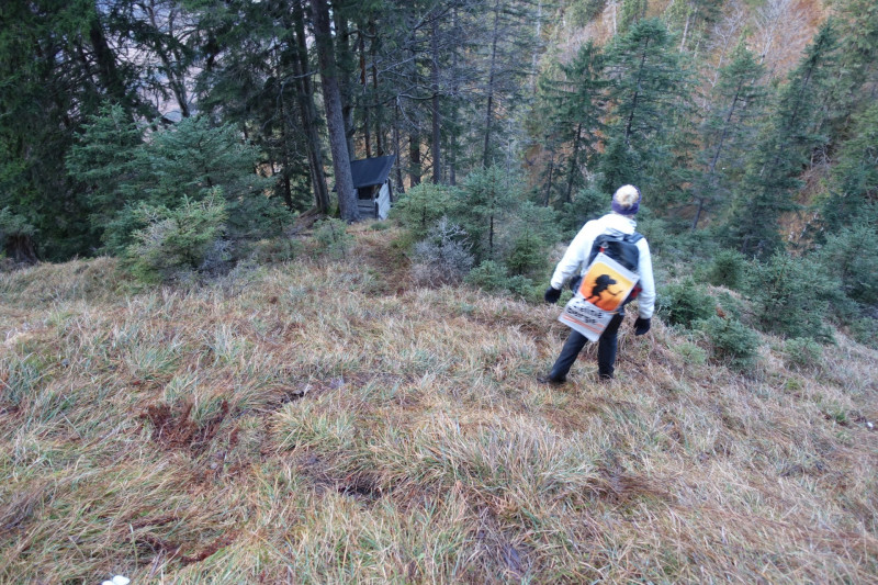 Sportplatz Eschenlohe - Zundereck - Zunderkopf Ester Gebirge