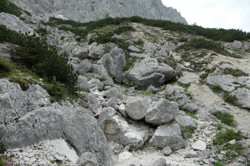 Stangenwald - Manndl - Vorderer Waxenstein - Zwölferkopf -BY- - Großer Waxenstein - Höllentalangerhütte - Stangensteig - Stangenwald