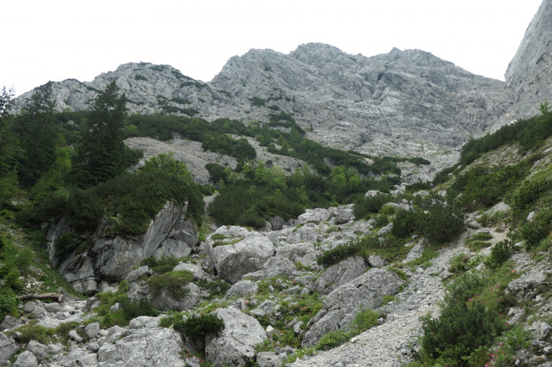 Stangenwald - Manndl - Vorderer Waxenstein - Zwölferkopf -BY- - Großer Waxenstein - Höllentalangerhütte - Stangensteig - Stangenwald