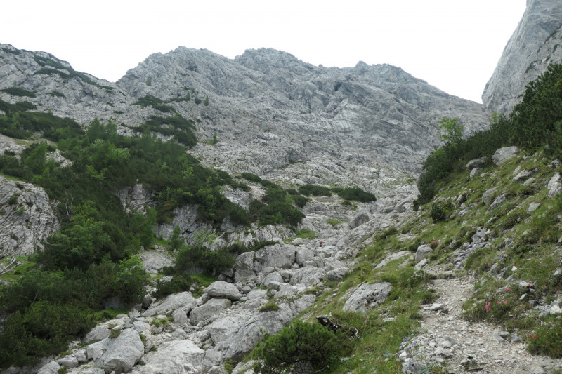 Stangenwald - Manndl - Vorderer Waxenstein - Zwölferkopf -BY- - Großer Waxenstein - Höllentalangerhütte - Stangensteig - Stangenwald