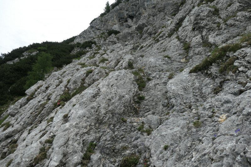 Stangenwald - Manndl - Vorderer Waxenstein - Zwölferkopf -BY- - Großer Waxenstein - Höllentalangerhütte - Stangensteig - Stangenwald