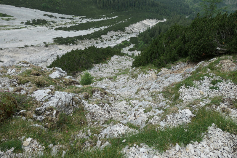 Stangenwald - Manndl - Vorderer Waxenstein - Zwölferkopf -BY- - Großer Waxenstein - Höllentalangerhütte - Stangensteig - Stangenwald