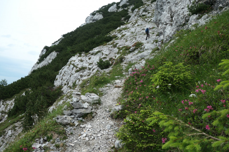 Stangenwald - Manndl - Vorderer Waxenstein - Zwölferkopf -BY- - Großer Waxenstein - Höllentalangerhütte - Stangensteig - Stangenwald
