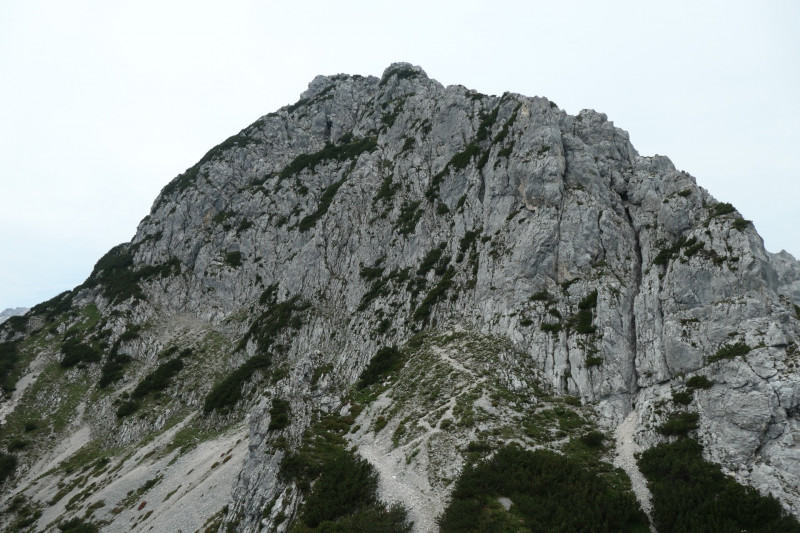 Stangenwald - Manndl - Vorderer Waxenstein - Zwölferkopf -BY- - Großer Waxenstein - Höllentalangerhütte - Stangensteig - Stangenwald