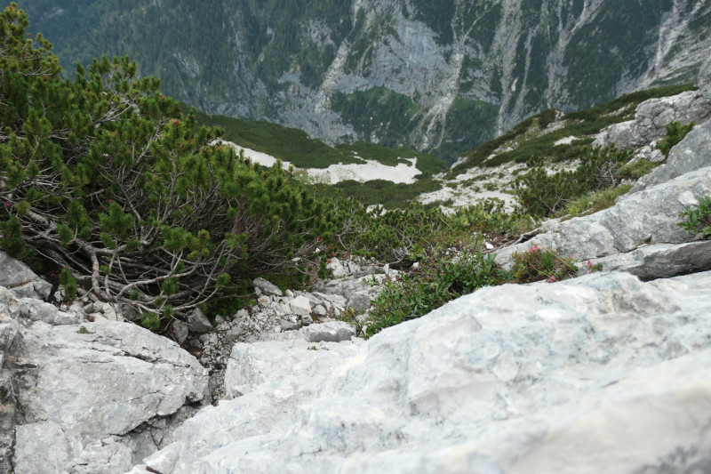 Stangenwald - Manndl - Vorderer Waxenstein - Zwölferkopf -BY- - Großer Waxenstein - Höllentalangerhütte - Stangensteig - Stangenwald
